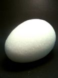 Styrofoam Egg Shape